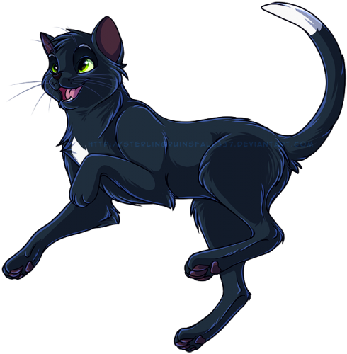 Thea Rat Custom Forms - Ravenpaw Warriors (490x500)
