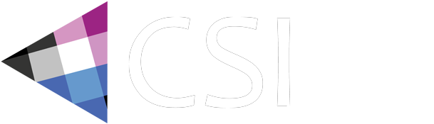 Csi Special Event Insurance - Calligraphy (656x200)