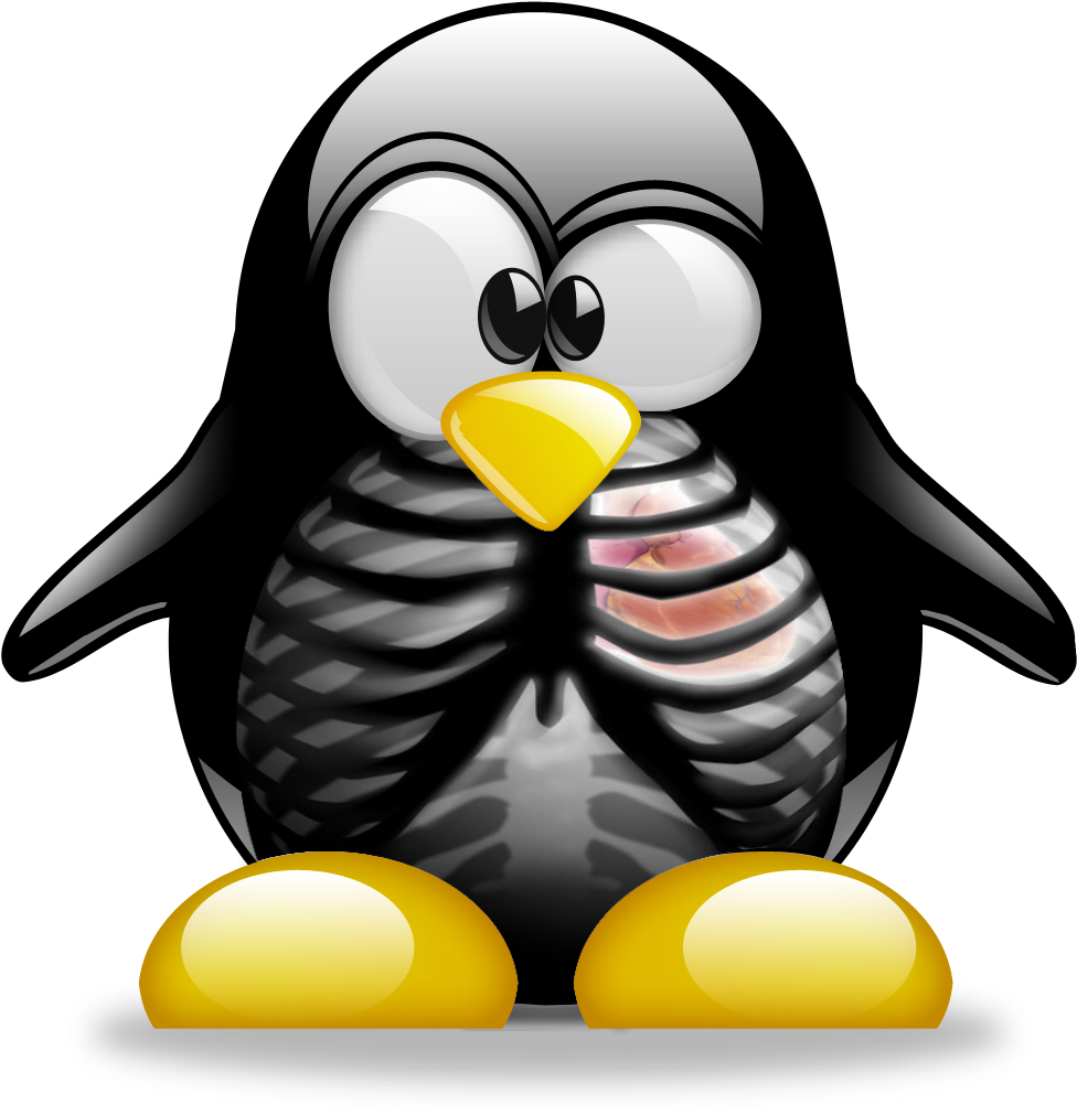 Tux X-ray - Tux (1024x1024)