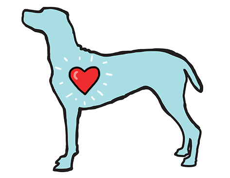 Signs Your Dog May Need Emergency Care - Dog Catches Something (486x365)