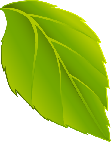 Hoja - Umbrella (369x472)