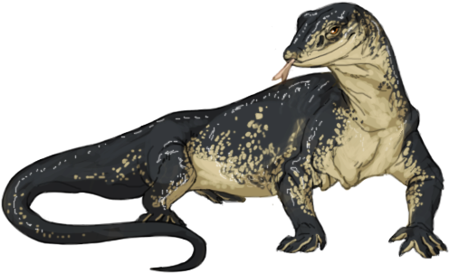 Komodo Dragon Png Transparent Images - Monitor Lizard Png (500x500)