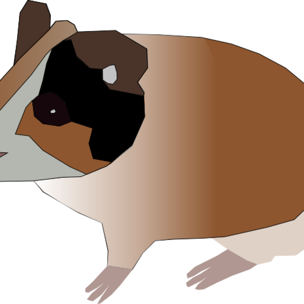 Guinea Pig Clipart Clip Art Panda Free Images - Guinea Pig Clip Art (1024x1024)