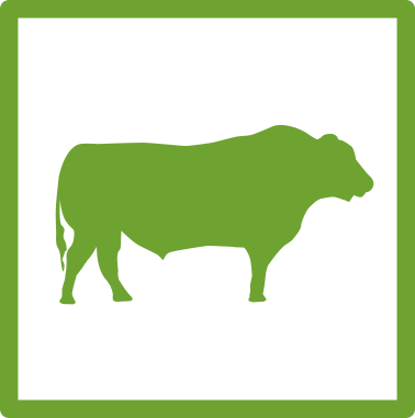 Straight From The Farm - Straight From The Farm (378x381)