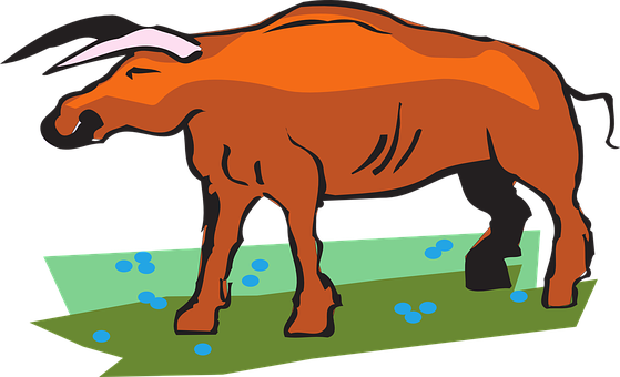 Flowers, Field, Grass, Bull, Horns - Bull (559x340)