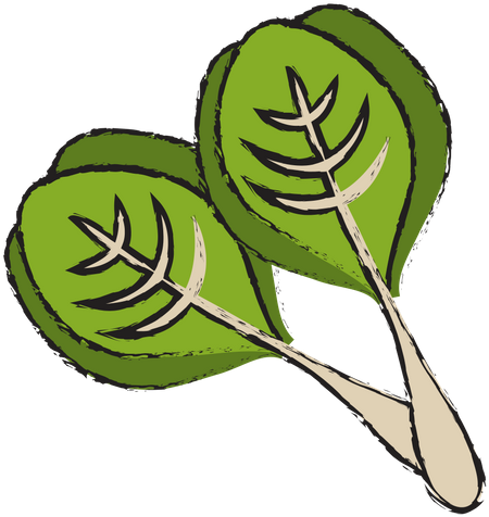 Spinach - 0shares - Graphic Design (500x500)