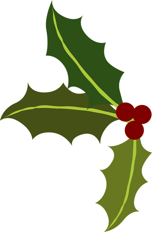 Multi Colored Christmas Balls Holly Copy Greeting (502x768)