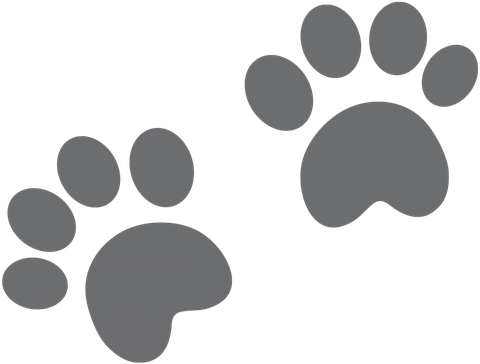 Ckren Uploaded This Image To 'animales/osos Panda' - Giant Panda (480x364)