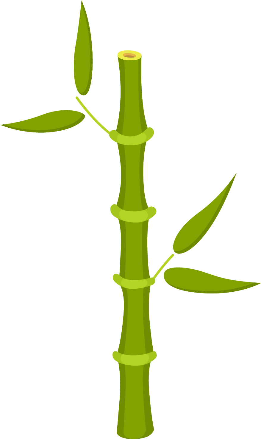 Clipart De Osos Panda - Bambu Animado Png (1500x1500)