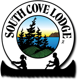 Logo - Mother Of Christ Catholic School (350x350)