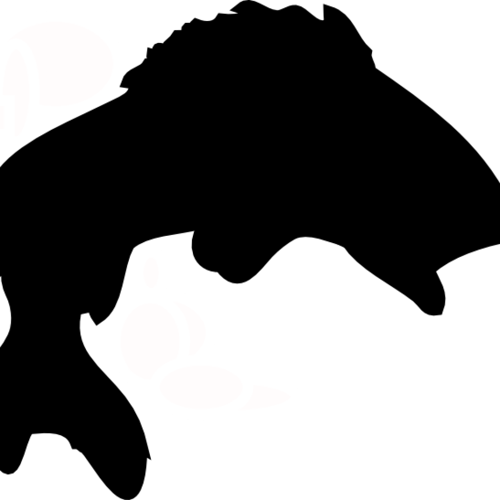 Fish Silhouette Clip Art 4th Of July Clipart Nylo - Bass Fish Silhouette Clipart (1024x1024)