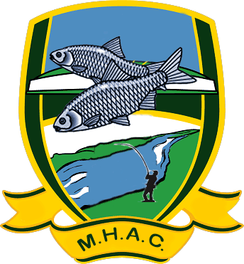 Logo - Meath Gaelic Football (344x371)