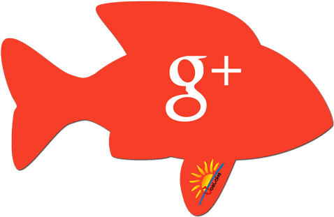 Coast & Beach Fishing - Twitter Fish (500x333)