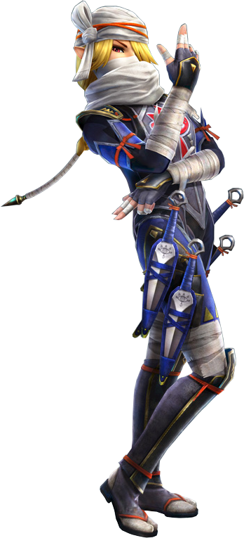 Sheik's Gender/lgbt Characters In Video Games - Legend Of Zelda Hyrule Warriors Sheik (348x765)