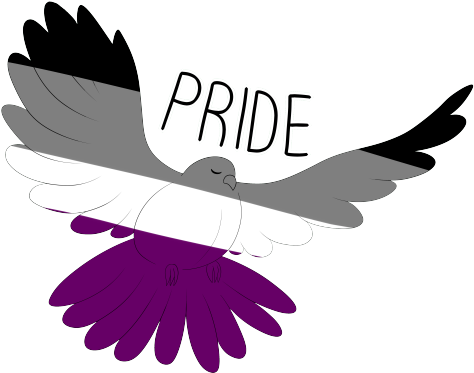 Lgbt Pride Shirt - Accipitridae (500x426)