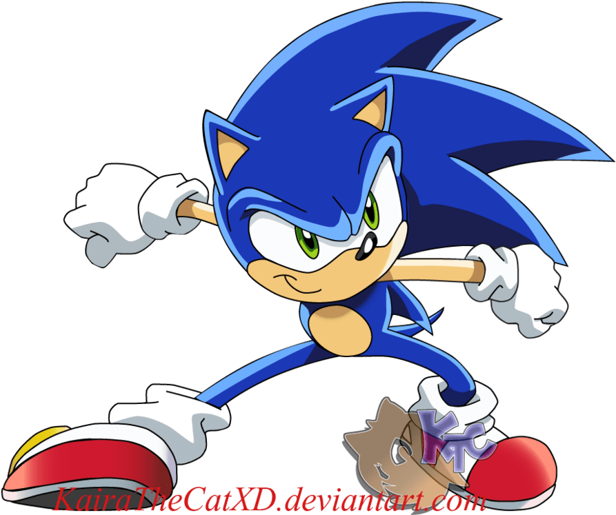 What Is An X'er - Sonic X Sonic The Hedgehog (900x753)