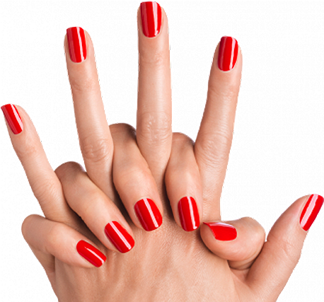 Book The - Transparent Background Nail Png (550x501)