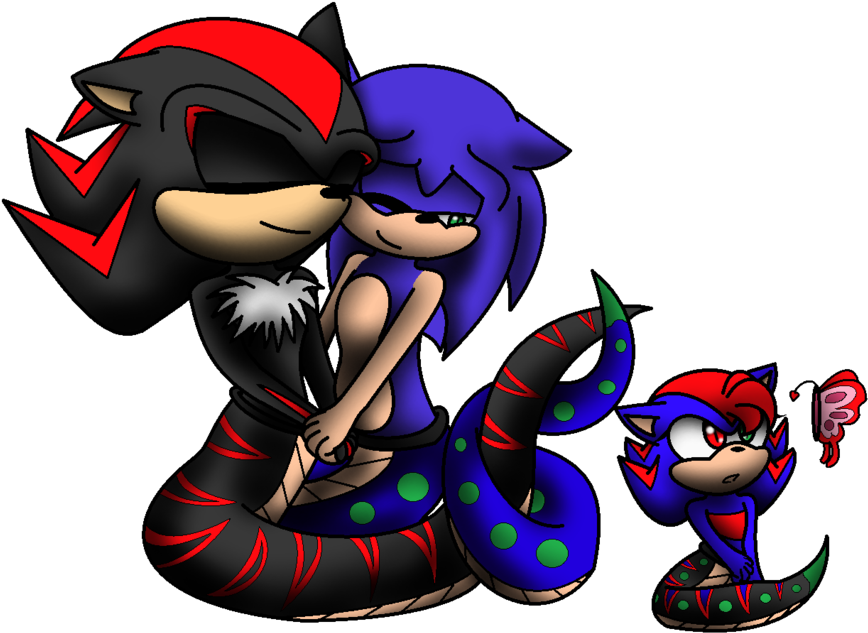 Image Result For Sonic X Shadow Fanfiction - Naga Shadow And Sonic (1024x676)