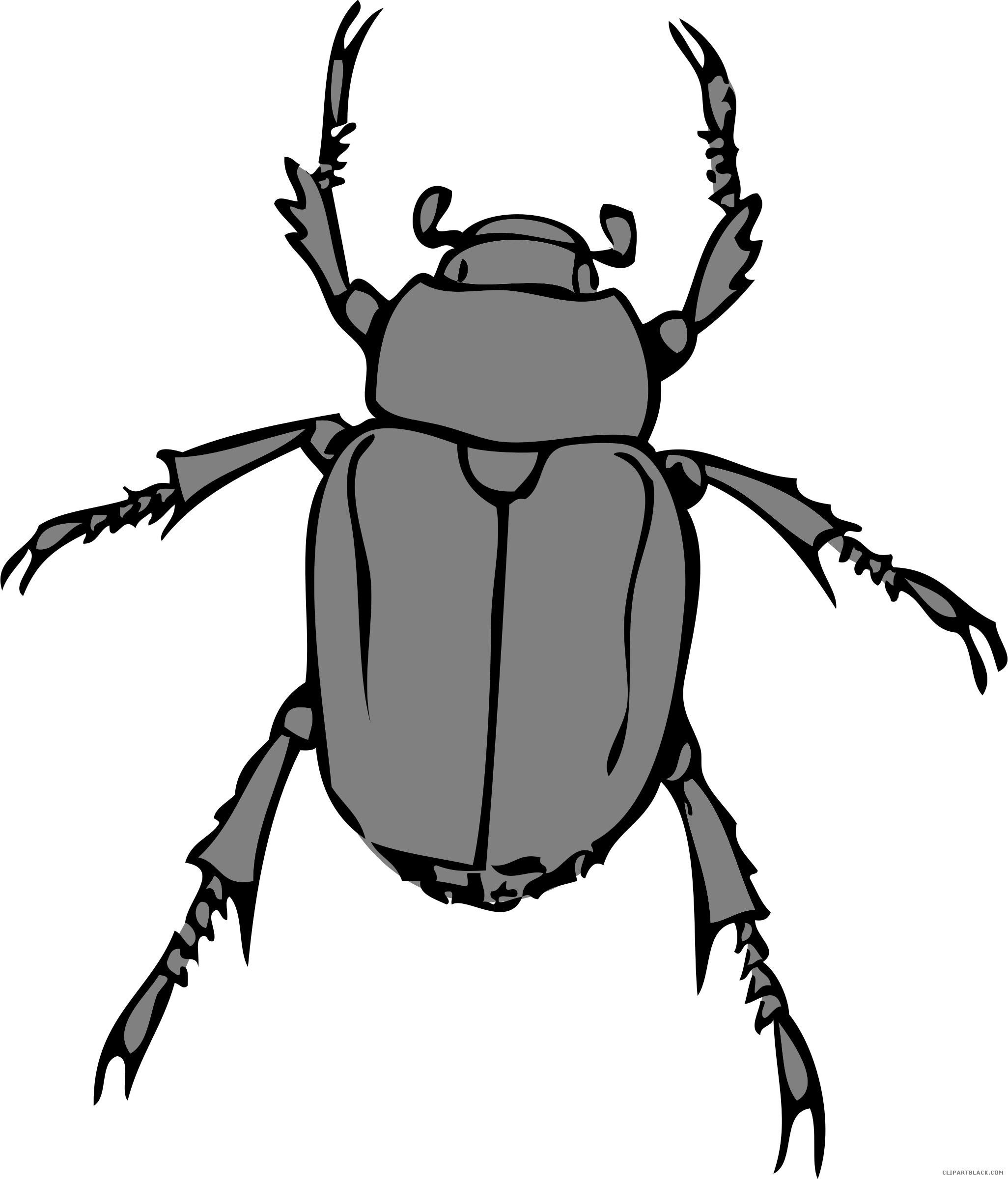 Amazing Bug Animal Free Black White Clipart Images - Beetle Bug (2052x2400)