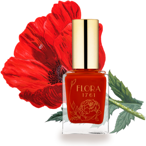 Common Poppy (600x540)