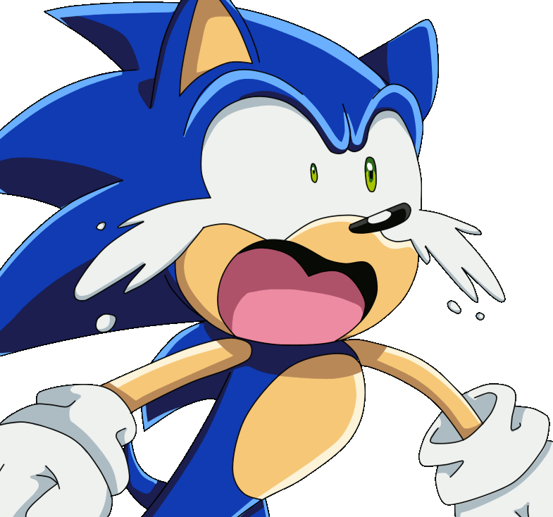 Sonic~you Ate All The Food - Don T Feel So Good Memes (785x734)