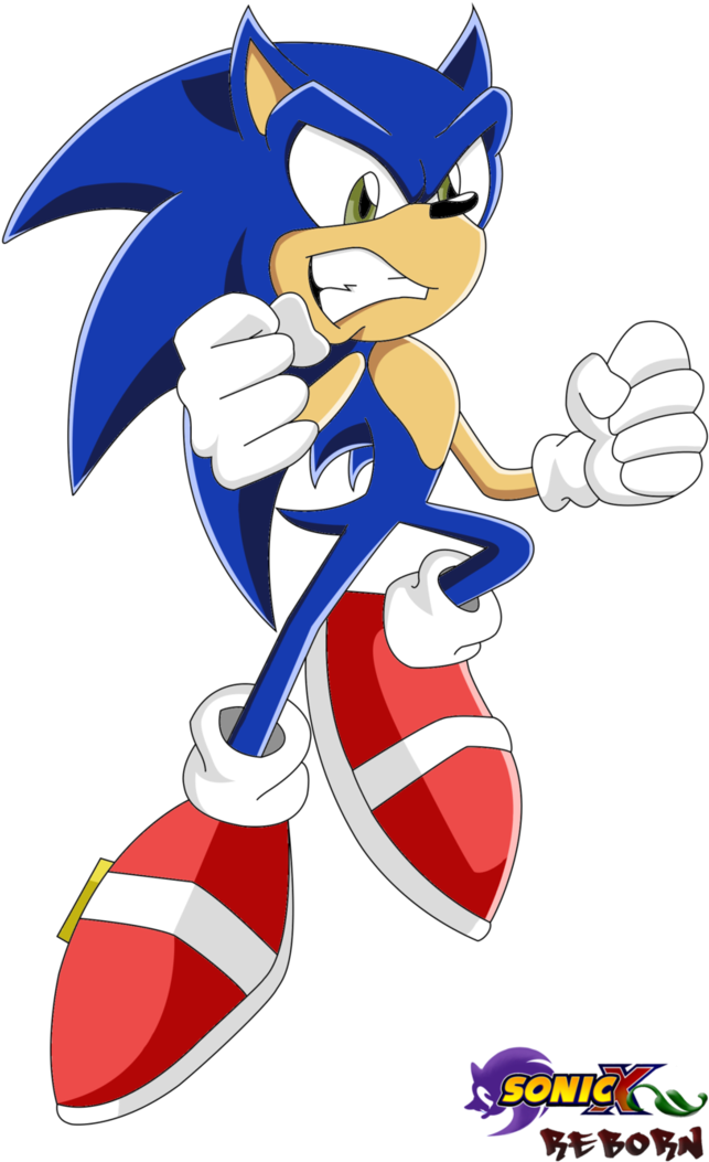 Sonic The Hedgehog - Sonic X Vol 22 (710x1126)