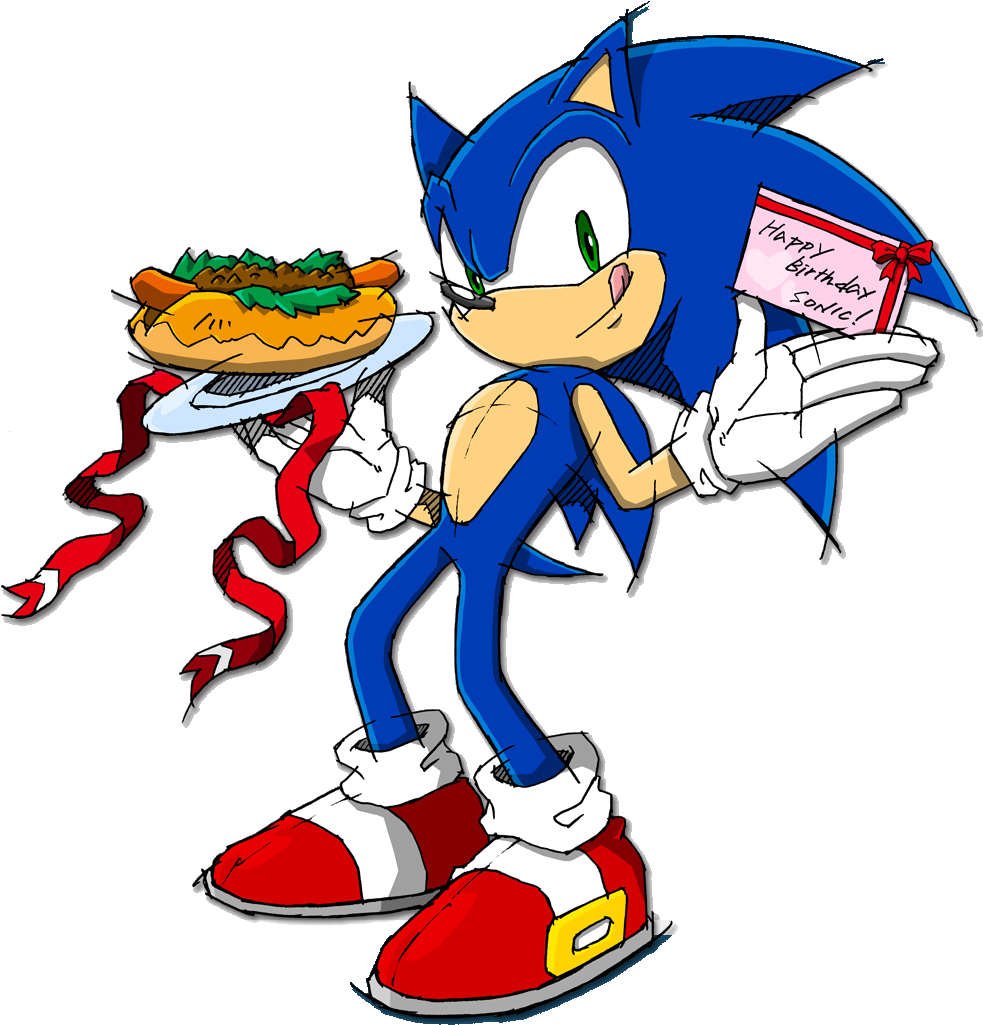 Shadow The Hedgehog Sonic X Sonic News Network - Sonic Channel Sonic (1008x1034)