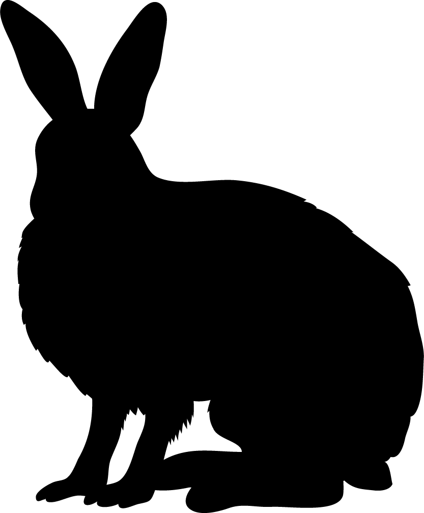 Arctic Hare Black Silhouette - Lapin Silhouette (833x1008)