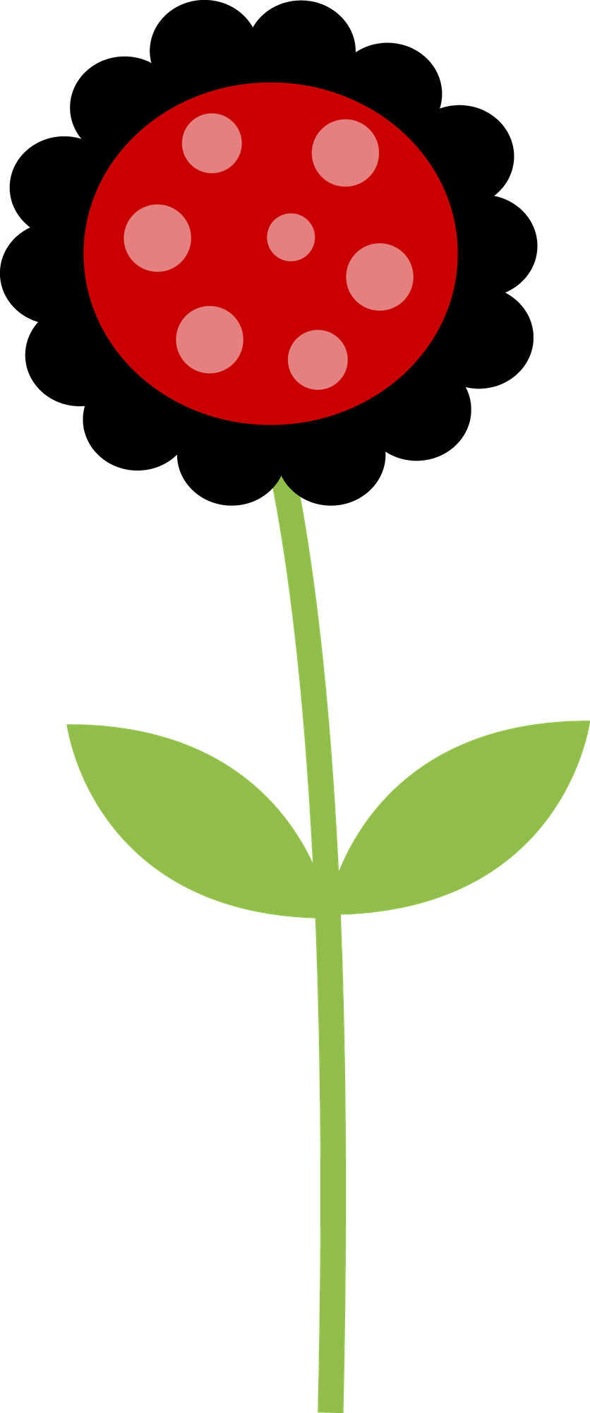 Joaninha - Minus - Ladybird Beetle (836x2000)