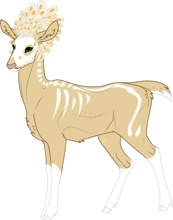 Deer (579x738)