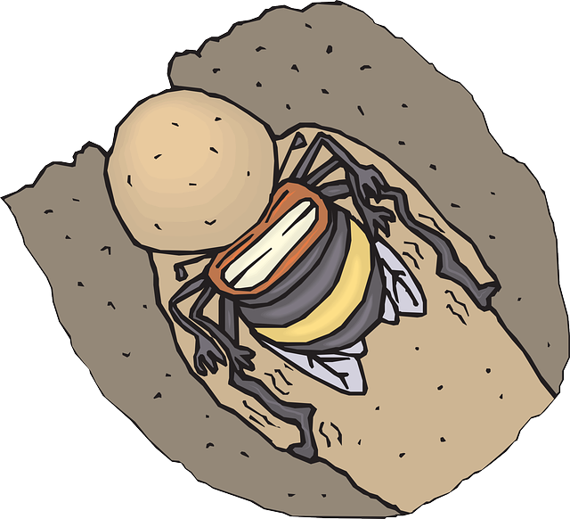 Bee, Work, Hard, Insect, Digging, Dirt - Bee (640x582)