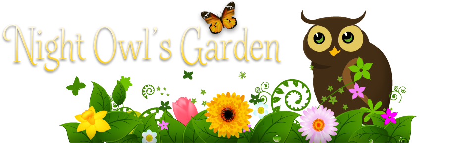 Night Owl's Garden - Clipart Flower Meadow (960x300)