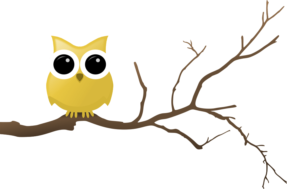 Yellow Owl On Tree Branch - Owl In A Tree Clip Art (1000x660)