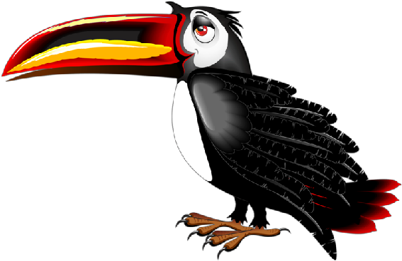 Discover - Cartoon Toucn Transparent Background (600x600)