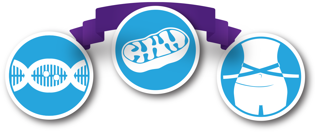 Intersect 4 Life Methylation, Mitochondria, Amp Metabolism - Emblem (1200x503)