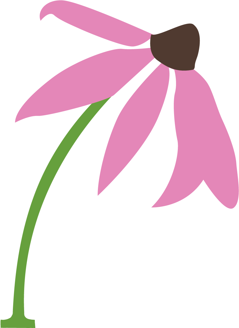 Pollination Clipart Pollinator - Pollination Clipart Pollinator (935x1242)