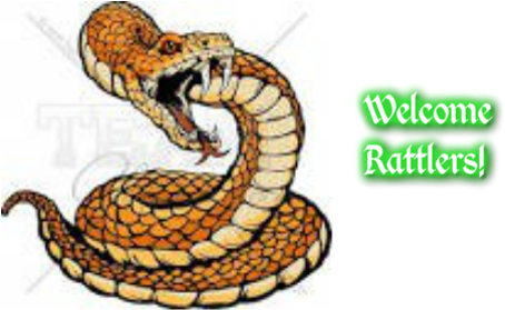 Cristina Rangel - Pit Viper Snake Drawing (481x278)