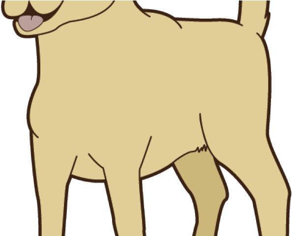 Labrador Clipart Transparent - Labrador Clipart Transparent (640x480)