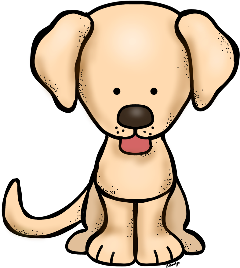 Yellow Labrador - Teacherspayteachers (796x900)