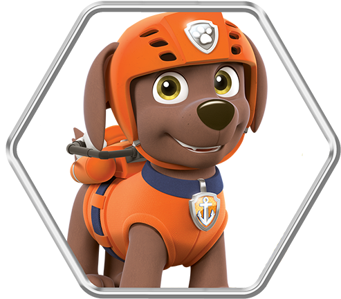 Imagenes Zuma Paw Patrol Zuma Patrulla Canina Labrador - Characters In Paw Patrol (500x445)