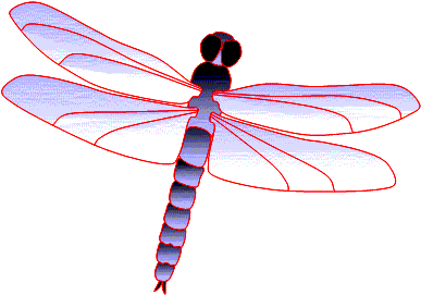 Home Of Bill And Will's Motm Synthesizer, And Others - Dragonfly (424x313)