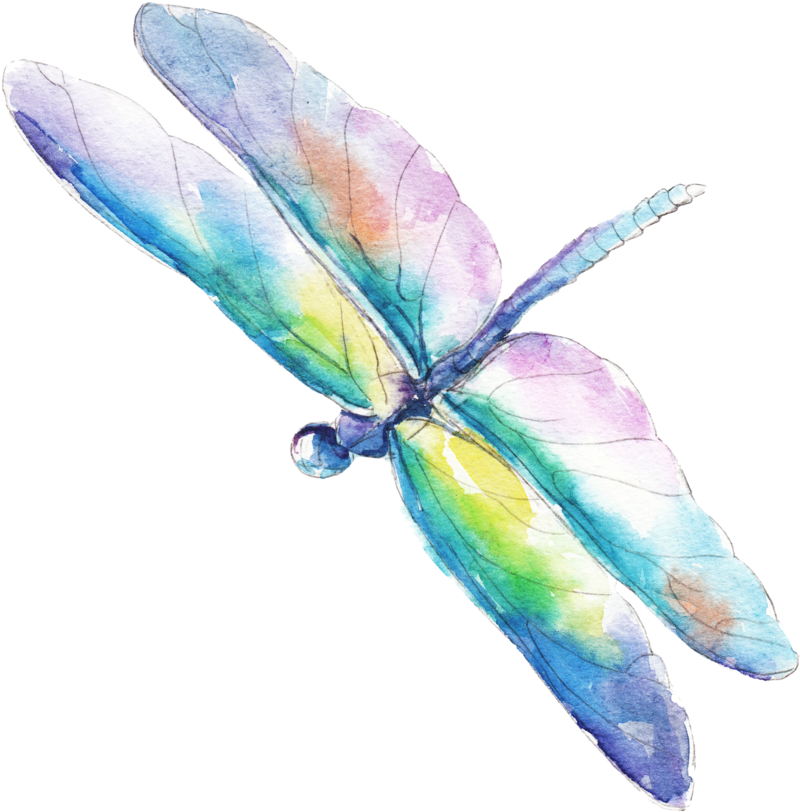 Home - Water Color Dragonflies Vector (1000x894)