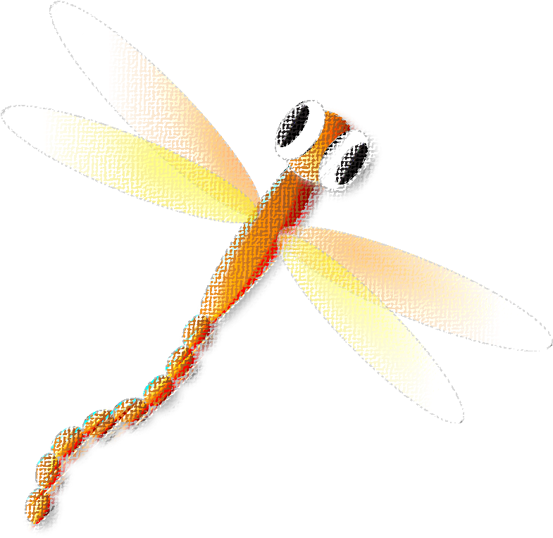 Dragonfly (856x837)