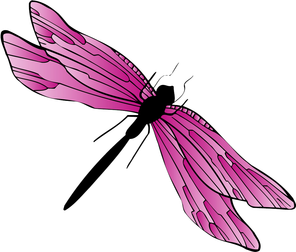 Dragonfly (1020x1020)