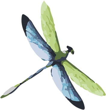 Home - Obraz Na Zeď, Dřevěný Dragon-fly 29x29 (600x598)