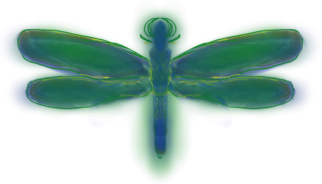 Dragonfly (1108x634)