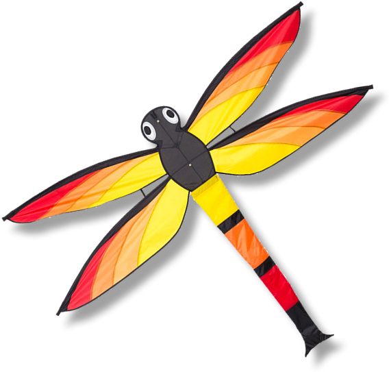 Net-winged Insects (600x600)