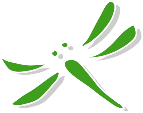 Dragonfly It - Dragonfly It (500x394)