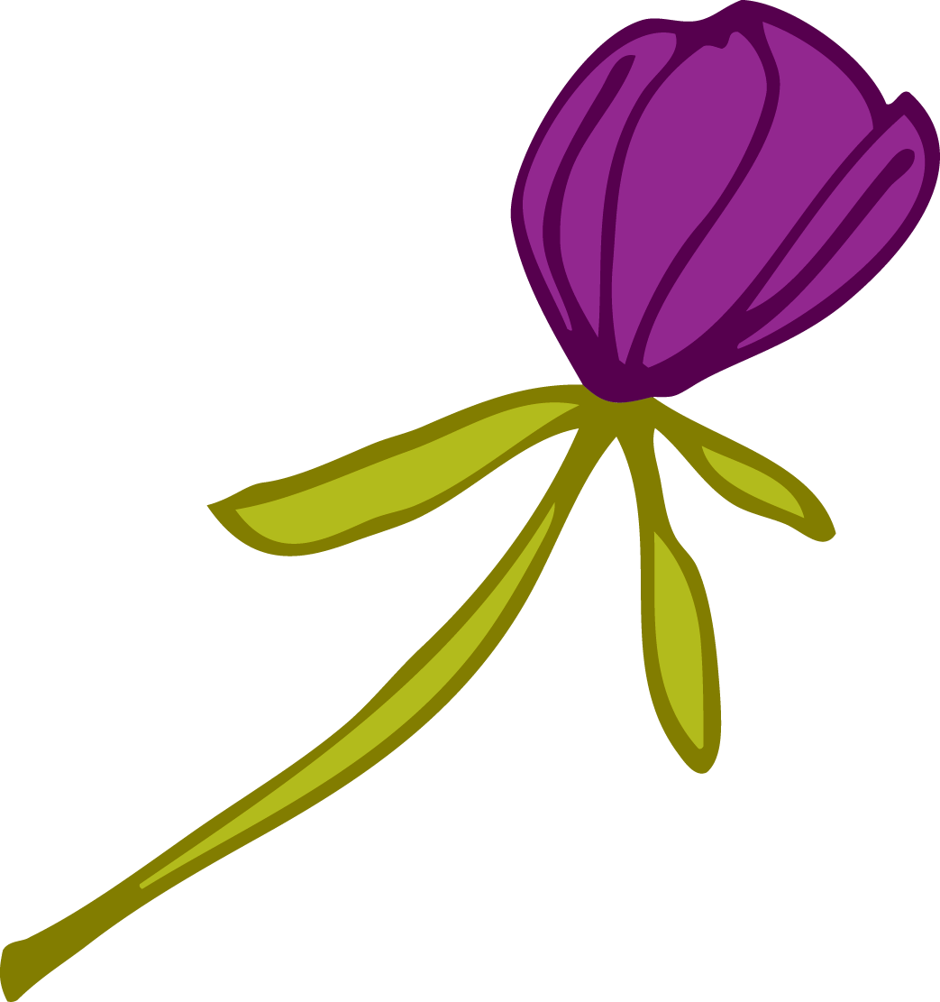 Purple Tulip - Purple Tulip (1043x1111)