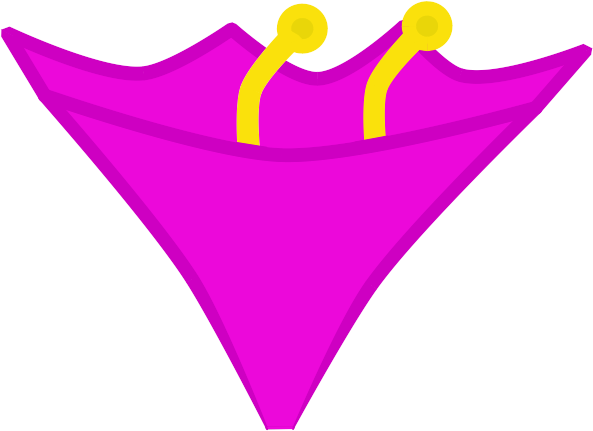 Tulip Bodie - Strive For The Million Tulip (872x486)